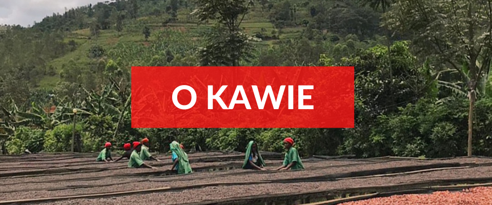 Świeżo Palona kawa z całego świata