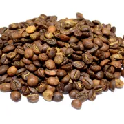 Odmiana kawy: PACAMARA