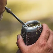 Yerba mate Amanda - jak powstała polska yerba mate?