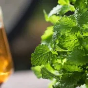 Zielona herbata czy melisa? Herbata na uspokojenie w ciąży.