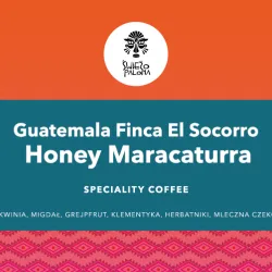 Guatemala Finca El Socorro Honey Maracaturra 1000