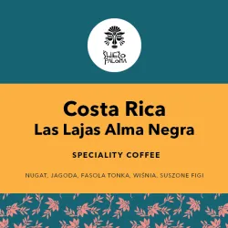 Costa Rica Las Lajas Alma Negra waga 1000