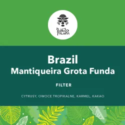 Brazil Mantiqueira Grota Funda Controled Fermentation Acaia 1000