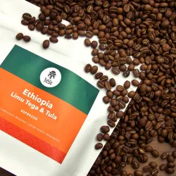 Ethiopia Limu Tega Tula Grade 1 Washed 250