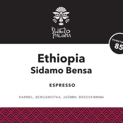 Ethiopia Sidamo Bensa Washing Station 1000