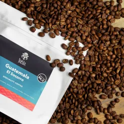 Guatemala Finca El Socorro Washed Pacamara 1000