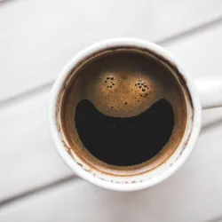 Rozpocznij wiosnę ze Świeżo Paloną - nowy blend