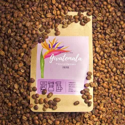 Gwatemala Finca La Ventana SHB Washed 1000