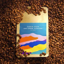 Costa Rica Hacienda Sonora Natural 1000