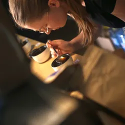Na czym polega cupping? Czyli profesjonalna degustacja kawy i jej cele
