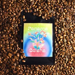 Panama Jaramillo Geisha Natural 200