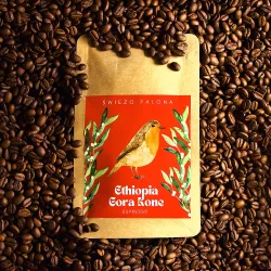 Ethiopia Gora Kone Natural 1000