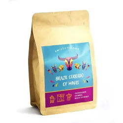Brazil Cerrado Natural kawa ziarnista mielona 250 g do tygielka