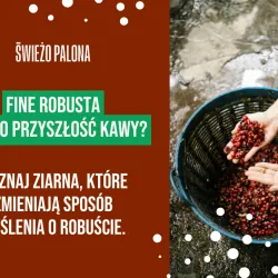 Fine Robusta – czym jest i dlaczego może zmienić przyszłość kawy?