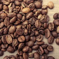 Ethiopia Mocha Harrar Horse Long Berry Natural 250
