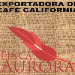Mexico SHG Finca Aurora 250