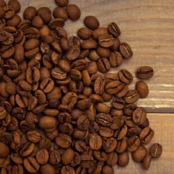 Brazil Matas Jardim das Oliveiras Microlot 250