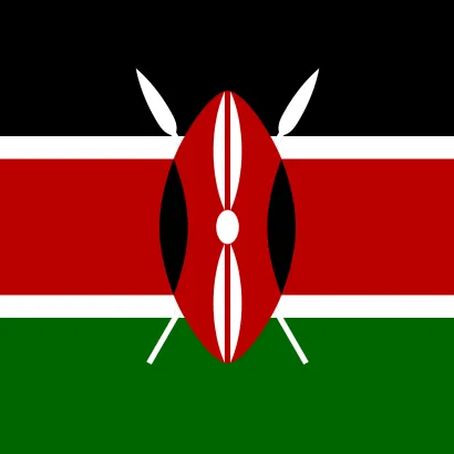 Kenya The Slopes of 8 AA microlot 250 - miniatura 2