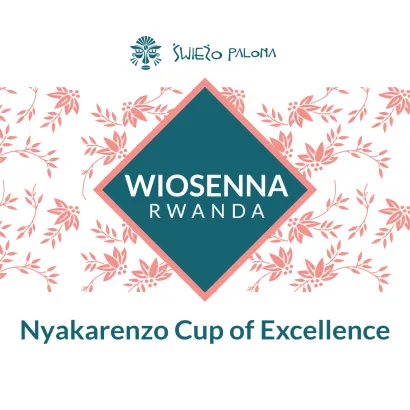 Wiosenna Rwanda - Nyakarenzo Cup of Excelence waga 250 - miniatura 2