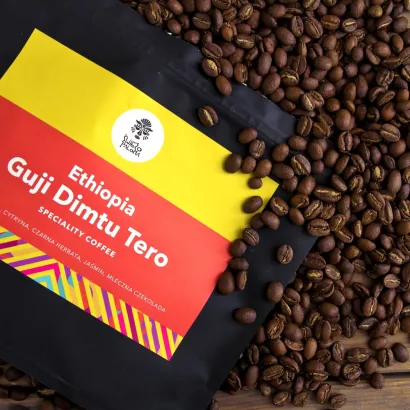 Ethiopia Guji Dimtu Tero Washed 250 - miniatura 1