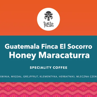 Guatemala Finca El Socorro Honey Maracaturra 200 - miniatura 2