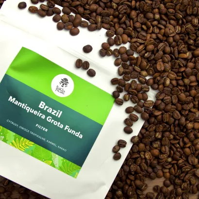 Brazil Mantiqueira Grota Funda Controled Fermentation Acaia 1000 - miniatura 2