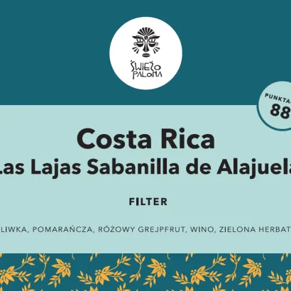 Costa Rica Las Lajas Sabanilla de Alajuela Black Honey 200 - miniatura 2