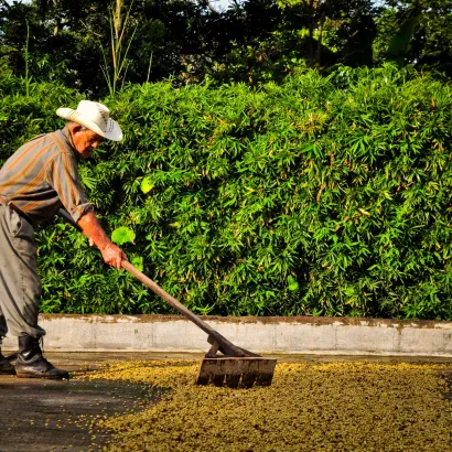 Costa Rica Hacienda Sonora Natural 200 - zdjęcie 4