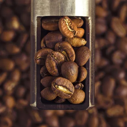 Peru Cajamarca Grade 1 Washed waga 250 - miniatura 2