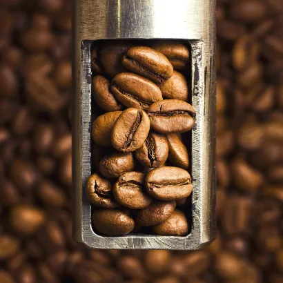 Ethiopia Yirgacheffe Reko Gr. 1 Natural 250 do french press/Aeropress - miniatura 2