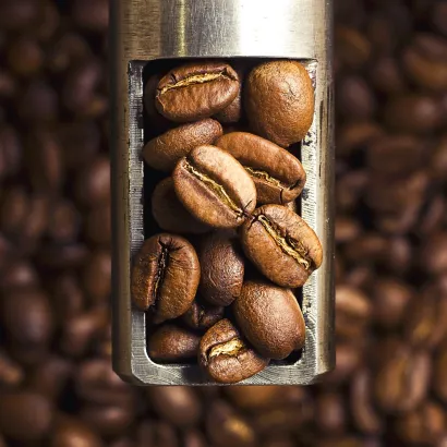 Bolivia Taypiplaya Washed 250 do french press/Aeropress - miniatura 2