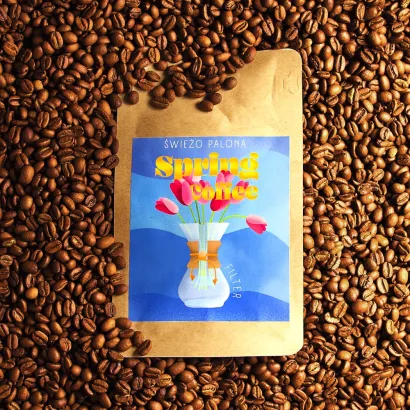 Spring Coffee Ethiopia Tega Tula Michiti Natural 250 - miniatura 2