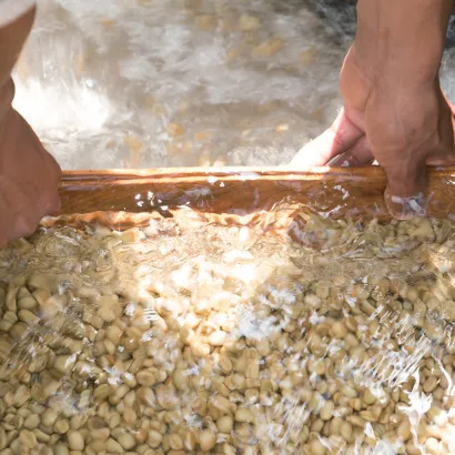 PIXEL Guatemala La Maravilla Mescal Bajo Washed waga 250 - zdjęcie 4