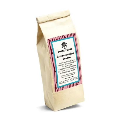 Herbatka owocowa Rozgrzewająca Sencha waga 100 g - miniatura 2