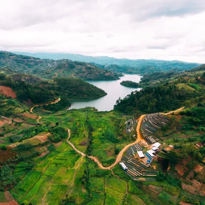 PIXEL Rwanda Nyamasheke Kilimbi Honey kawa ziarnista 250 - zdjęcie 2