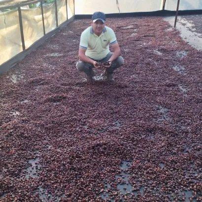 Cascara Colombia Huila Geisha Washed suszone owoce kawowca 100 g - zdjęcie 3