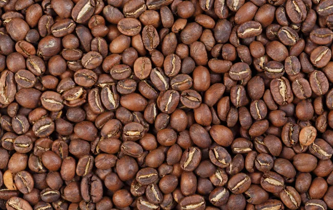 Odmiany kawy: LIMU, SIDAMO, YIRGACHEFFE