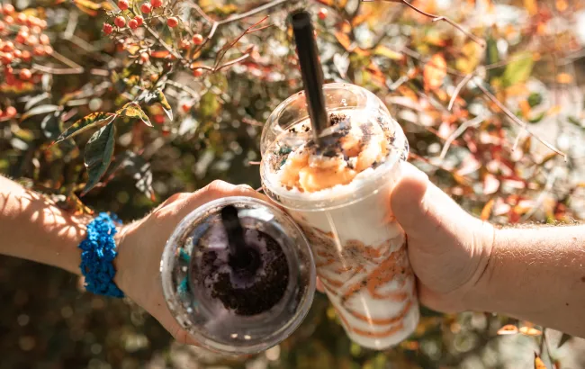 Bubble tea - proste przepisy na domowy napój na bazie herbaty z kulkami tapioki