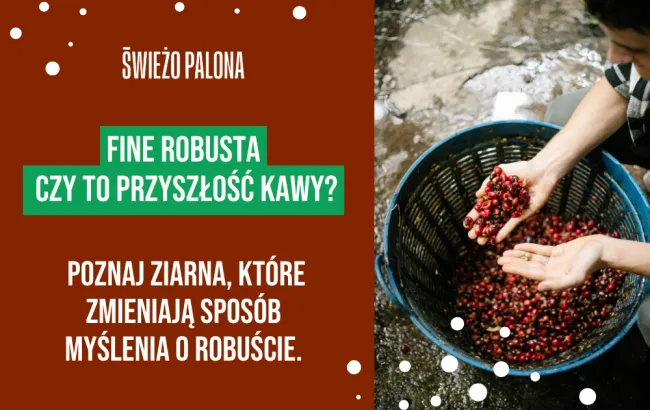 Fine Robusta – czym jest i dlaczego może zmienić przyszłość kawy?