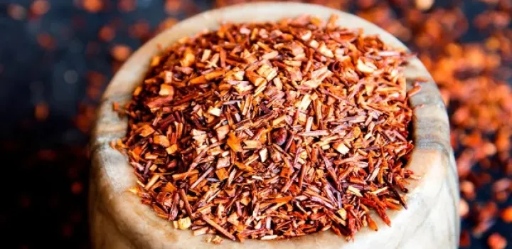 Jak uprawia się herbatę rooibos? Właściwości, parzenie. Czym różnią się rooibos czerwony i zielony?