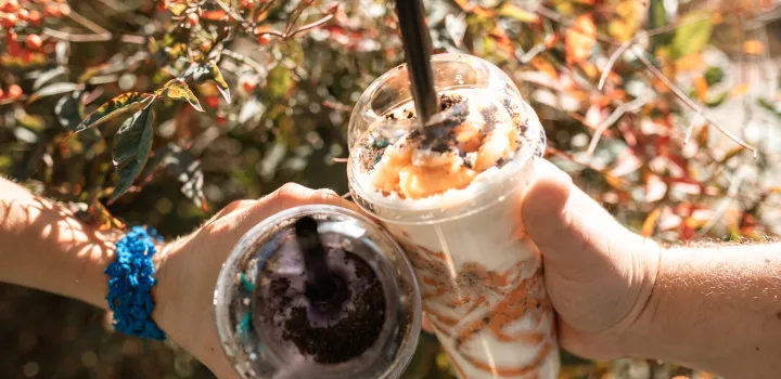 Bubble tea - proste przepisy na domowy napój na bazie herbaty z kulkami tapioki