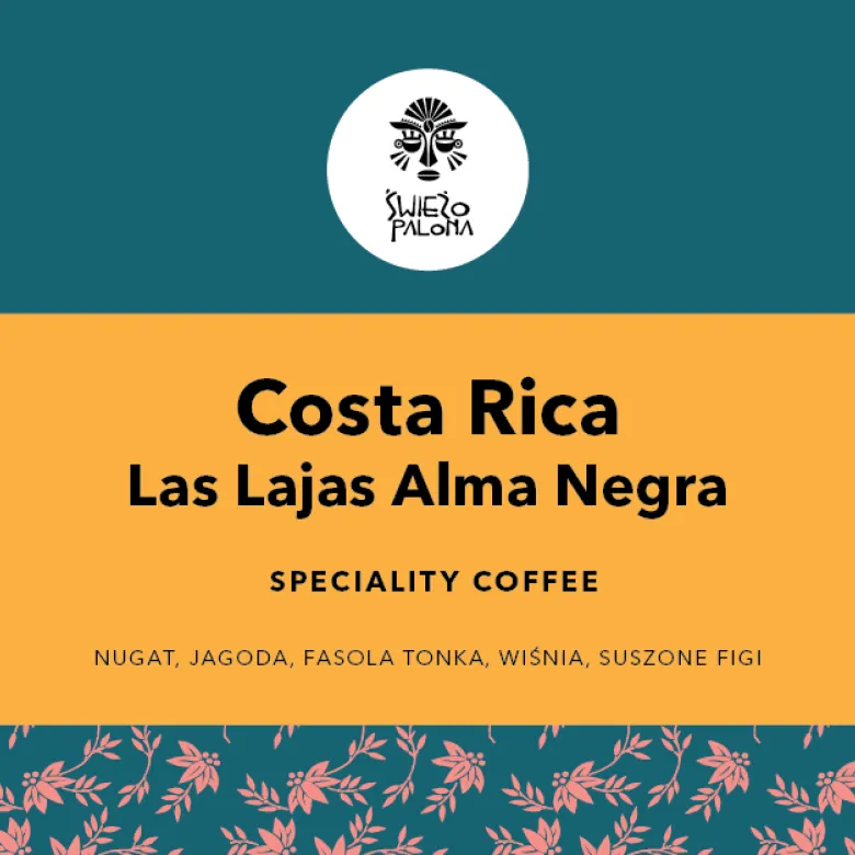 Costa Rica Las Lajas Alma Negra 1000 - zdjęcie 1
